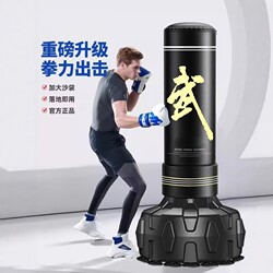 Boxing Sandbag Stand for Home Use, Professional Sandbag, Wobble Stand for Adults and Children, Martial Arts Gym, Fighting and Sparring Training Boxing Column