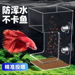 Fish Tank Feeding Artifact Fish Food Turtle Food Automatic Feeding Small Guppy Fish Feeding Tube Floating Ring Anti-Drifting
