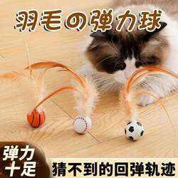 Cat Teaser Stick with Feathered Elastic Ball for Teething Fun, a Popular Cat Toy for Ragdoll Cats to Entertain Themselves