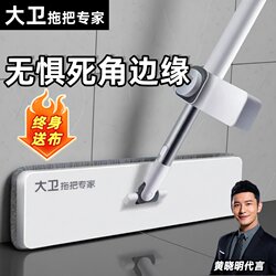 David Official Genuine 2026 New Model Hands-Free Flat Mop for Home Use, One-Sweep Clean, Dual-Use for Dry and Wet, Thickened Mop Cloth