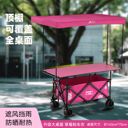 Foldable Oden Cooking Cart for Outdoor Camping, Popular for Night Markets, Suitable for Entrepreneurship and Mobile Camping
