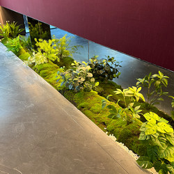 Artificial Green Plant Arrangement for Indoor Corner Decor, Flower Trough Plant Decoration, Mall Window Moss Ornament