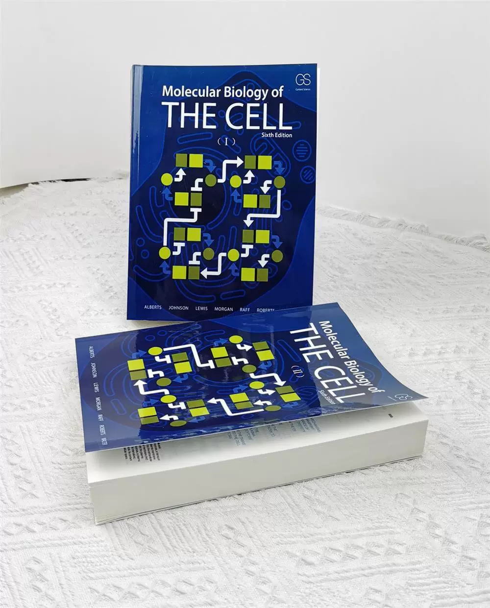 全彩细胞的分子生物学Molecular Biology of the Cell 六版-Taobao