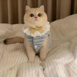 Cute ins Warm Lamb Wool Vest for Teddy, Pomeranian, and Other Pets, Super Adorable Autumn and Winter Style Cat Clothes