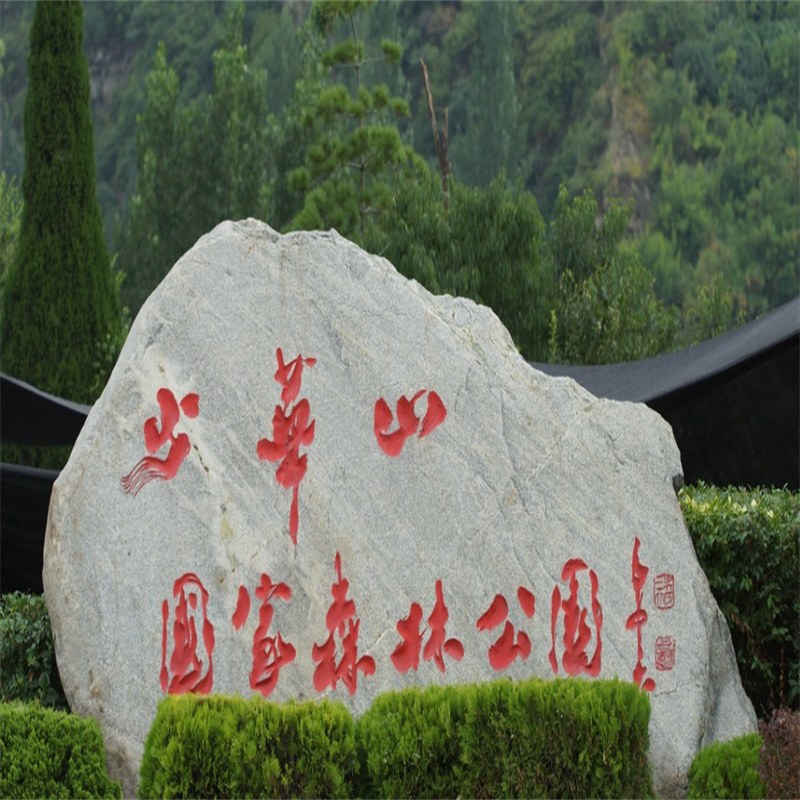 【1人请勿下单,最少2成人起订】少华山国家森林公园纯玩1日游