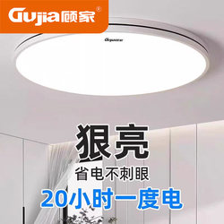 2026 New Model Led Ceiling Light for Room, Bedroom, Living Room, Hall, Modern Simple and Elegant Zhongshan Lighting Fixtures