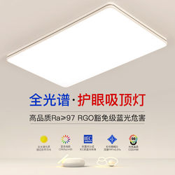 2025 New Hall Living Room Lamp Led Master Bedroom Full Spectrum Eye Protection Ceiling Lamp Restaurant Whole House Lighting Package