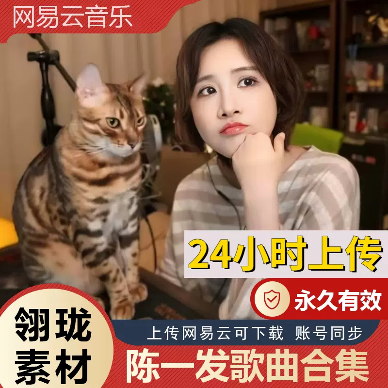 陈一发 陈一发儿网易云恢复所有歌曲专辑音乐永久歌单云盘下载童话镇MP3-Taobao Singapore