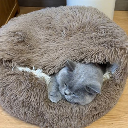 Shell-Shaped Cat and Dog Bed, Winter Warm Enclosed Safe Nest for Kittens, Small Dogs, Teddy Pets, Pet Blanket, Bed Mat