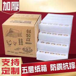 Five-Layer Thickened Pearl Cotton Egg Tray for Express Delivery, Anti-Fall, Shockproof Packaging, Anti-Breakage Foam Box, Free-Range Egg Packaging Box
