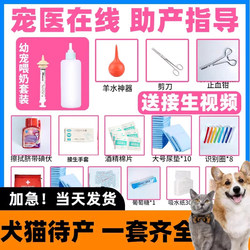 Complete Set of Cat Birthing Supplies, Pet Dog Birthing Kit, Female Cat Maternity Room, Amniotic Fluid Suction Device