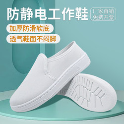 Anti-Static Shoes with Thick Soft Soles, Dust-Free Work Shoes for Food Factories, Cleanroom Workshops, Unisex Anti-Static Footwear