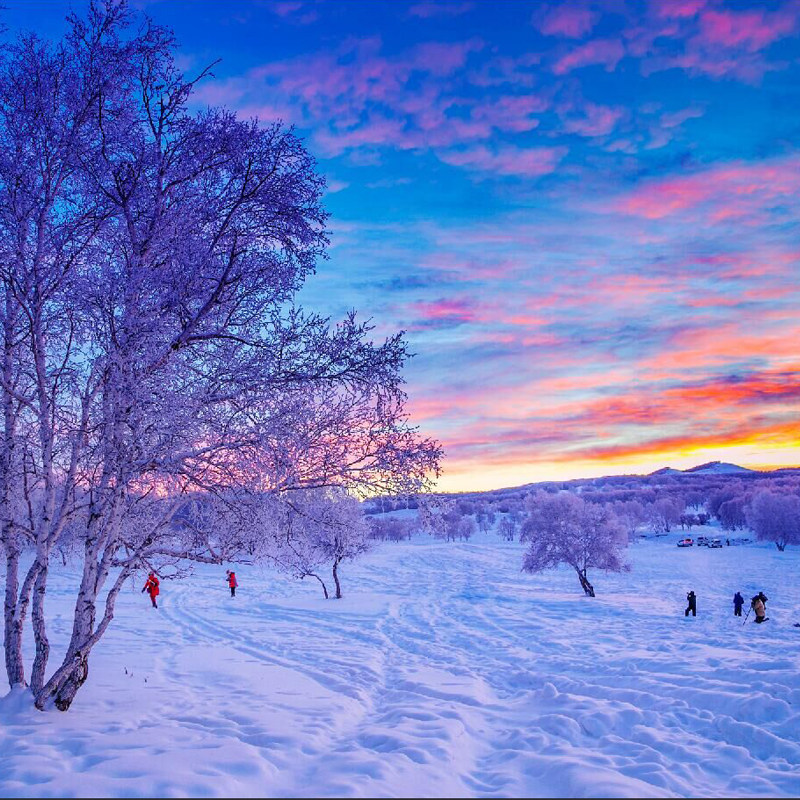 【住4钻/5钻】古北水镇+坝上+乌兰布统+木兰围场4日3晚私家团