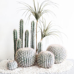 Artificial Cactus with Flocked White Thorns, Tropical Desert Green Plant for Shop Window and Homestay Landscaping Materials