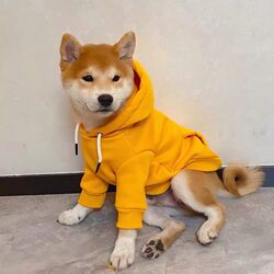 Shiba Inu Dog Autumn Clothing with Fleece, Winter Clothes for Golden Retriever, Corgi, Husky, Border Collie, Samoyed, Medium-Sized Dogs, Autumn and Winter
