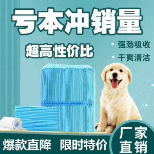 
Qioh pet diaper pad, dog diaper pad, cat diaper pad, pet absorbent pad, diaper pad, diaper pad, disposable thickening