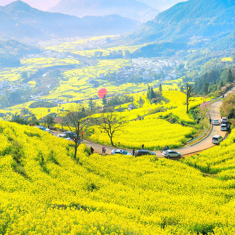 江西旅游3天2晚 庐山景德镇婺源篁岭婺女洲打铁花三日跟团游纯玩