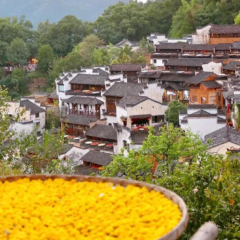 【5钻独立私家团】江西旅游3天2晚婺源篁岭望仙谷三清山三日跟团