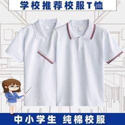 Primary and Secondary School Uniforms Are Paired with White T-Shirts, Short-Sleeved Summer Boys' Polo Shirts, Class Uniforms, Base Shirts, and Girls' Tops