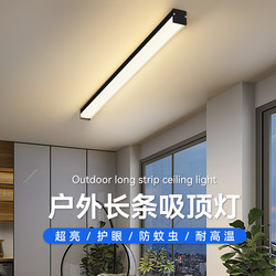 Outdoor New Model Double Lampshade Ceiling Light for Corridors, Ultra-Bright Outdoor Balcony Strip Ceiling Light, Sunroom Eaves Terrace Light