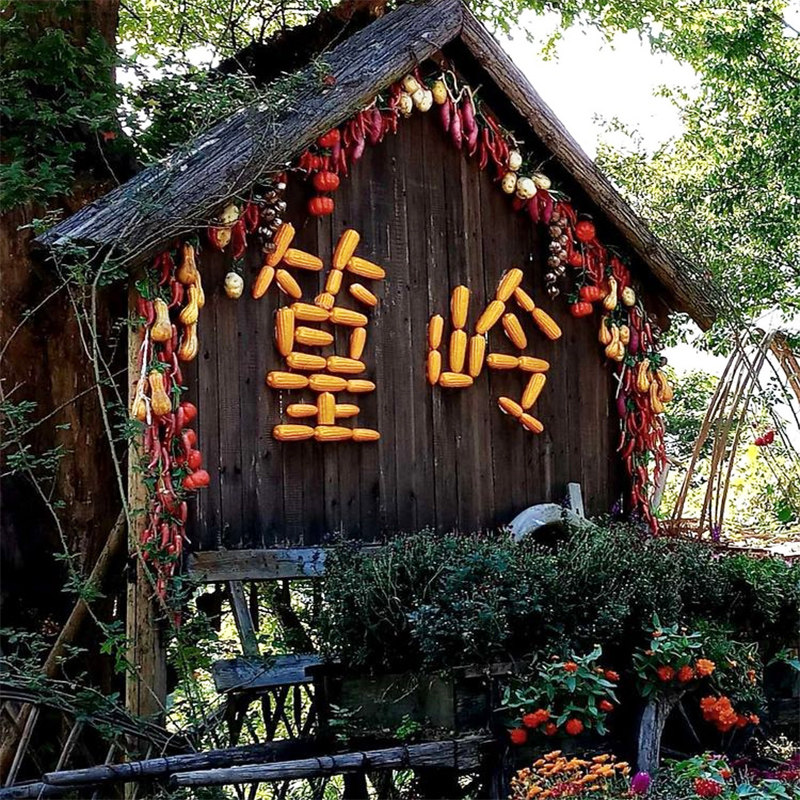 黄山宏村3日游旅游云海水墨宏村屯溪双古老街2晚三日跟团游