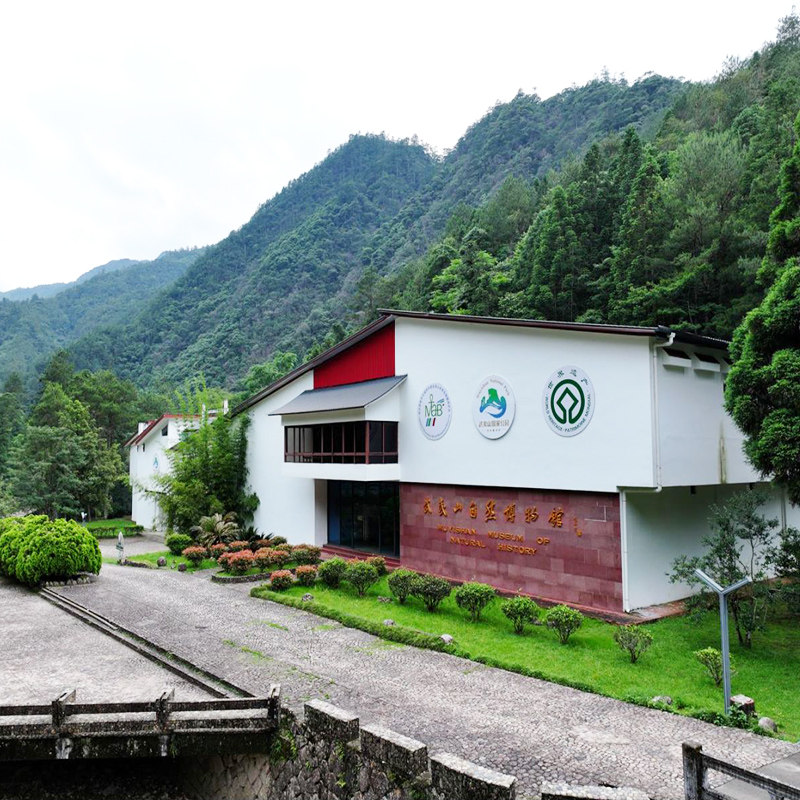 武夷山国家公园一日游含午餐 月亮湾+青龙瀑布可选+桐木关+野猴谷
