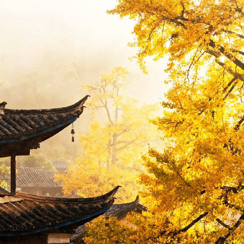 疗养团腾冲保山瑞丽2天1私家团 昆明云南旅游1日疗养团