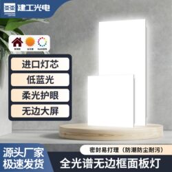 Full Spectrum Frameless Flat Panel Light for Kitchen and Bathroom Integrated Ceiling Aluminum Tile Led Light 300X300X600