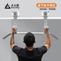 Daqi 304 Stainless Steel Pull-Up Bar for Home Indoor Use, Wall-Mounted Horizontal Bar with Holes for Swing, Fitness Equipment