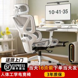 Ergonomic Chair, Waist-Protecting Sitting Posture Computer Chair, Home Comfortable Sedentary Gaming Chair, Office Chair, Study Chair