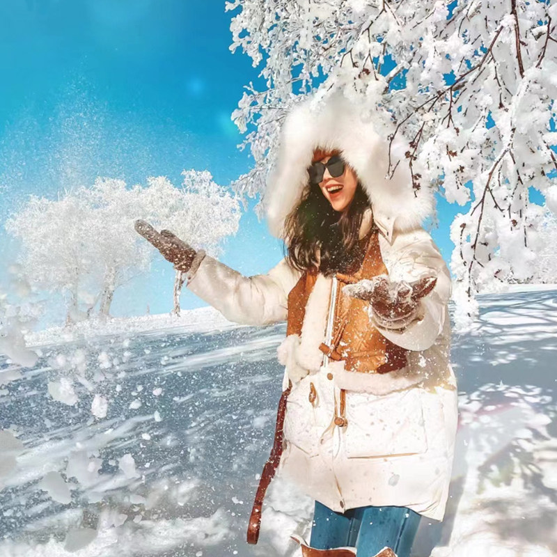 飞猪冬游小团东北旅游7天6晚跟团游哈尔滨雪乡长白山天池温泉滑雪