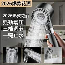 German Daisen Powerful Pressurized Shower Head Bathroom Showerhead Filter Showerhead Set Spray Shower