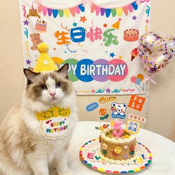 Cat Hat and Headgear, Cute Rabbit Headgear, Teddy Corgi French Bulldog Dog Bib, Birthday Costume, Photo Props