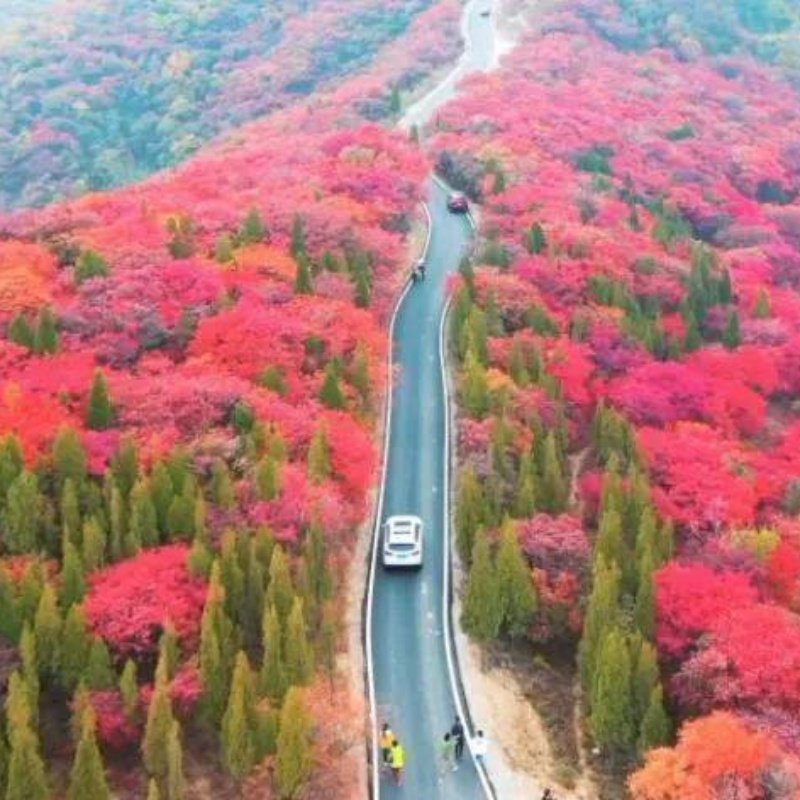 红叶柿岩+开元溶洞+陶瓷琉璃+岜山小镇2日游