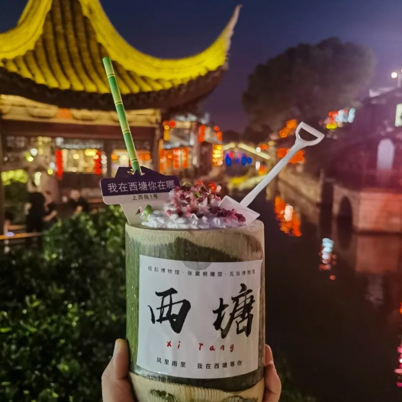 苏杭西塘夜景+乌镇东栅+木渎三古镇枫桥三日游纯玩(经典苏杭)