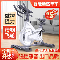 Dynamic Bicycle Home Model Magnetically Controlled Intelligent Ultra-Quiet Indoor Bicycle Aerobic Exercise Weight Loss Gym Equipment