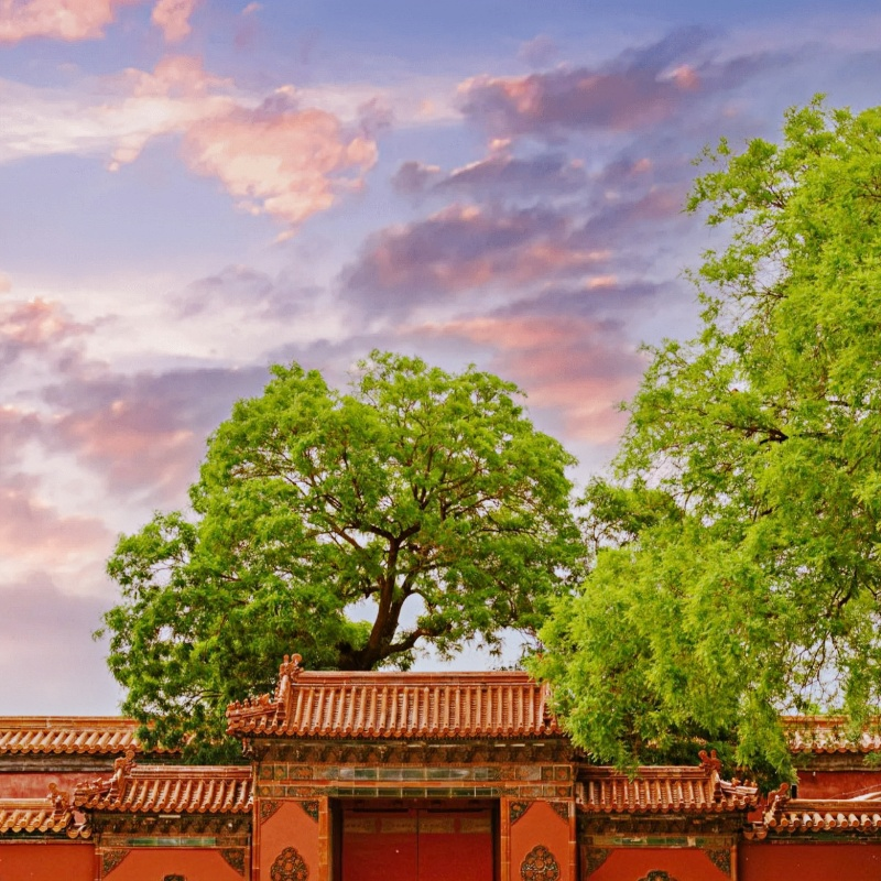 北京故宫研学讲解小团 故宫金牌导游讲解研学团【含故宫门票】