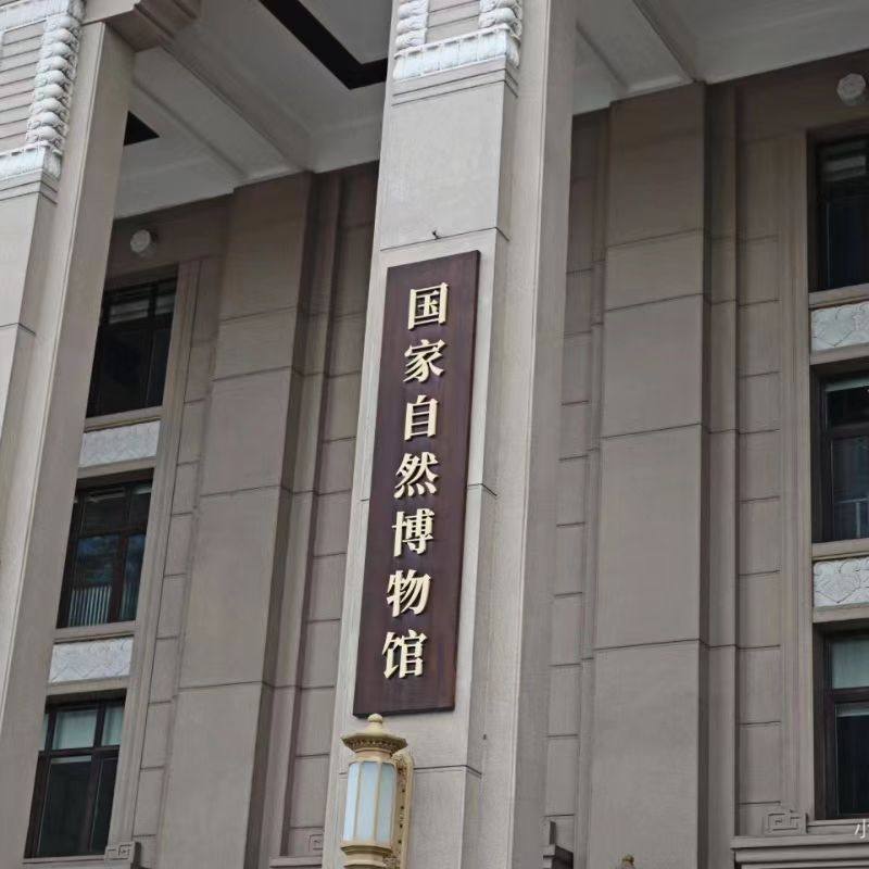 北京自然博物馆亲子团 金牌导游2.5H深度讲解 亲子研学跟团一日游