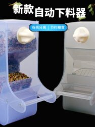 Parrot Automatic Feeder for Lovebirds, Cockatiels, and Budgerigars, Thickened Anti-Spill and Anti-Splash Bird Food Container