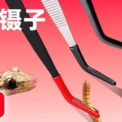 Turtle Reptile Gecko Horned Frog Arowana Feeding Tweezers Pet Silicone Feeding Clip Extended Stainless Steel Feeder