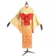 Gia đình Heshun anime Demon Slayer: Kimetsu no Yaiba cosplay Demon Slayer Corps Tân Zenko kimono nữ Hanagai Zenitsu cos yukata cosplay nezuko roblox Cosplay Demon Slayer