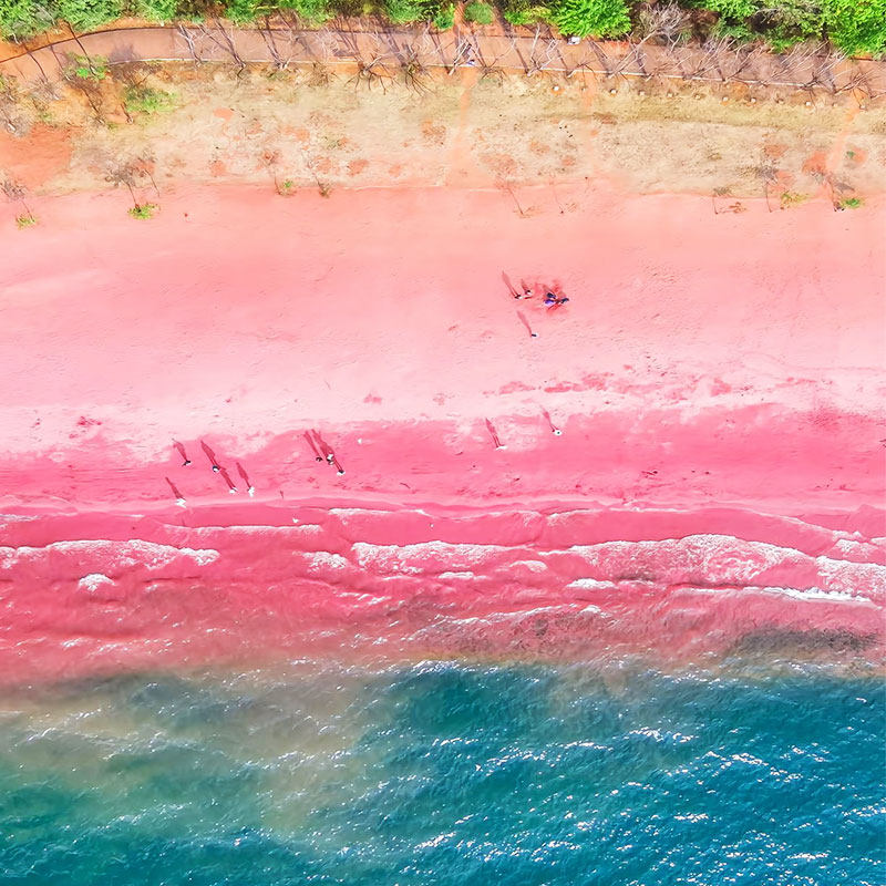 四川成都浙江山东潍坊直飞云南昆明玉溪10日大理丽江自由行