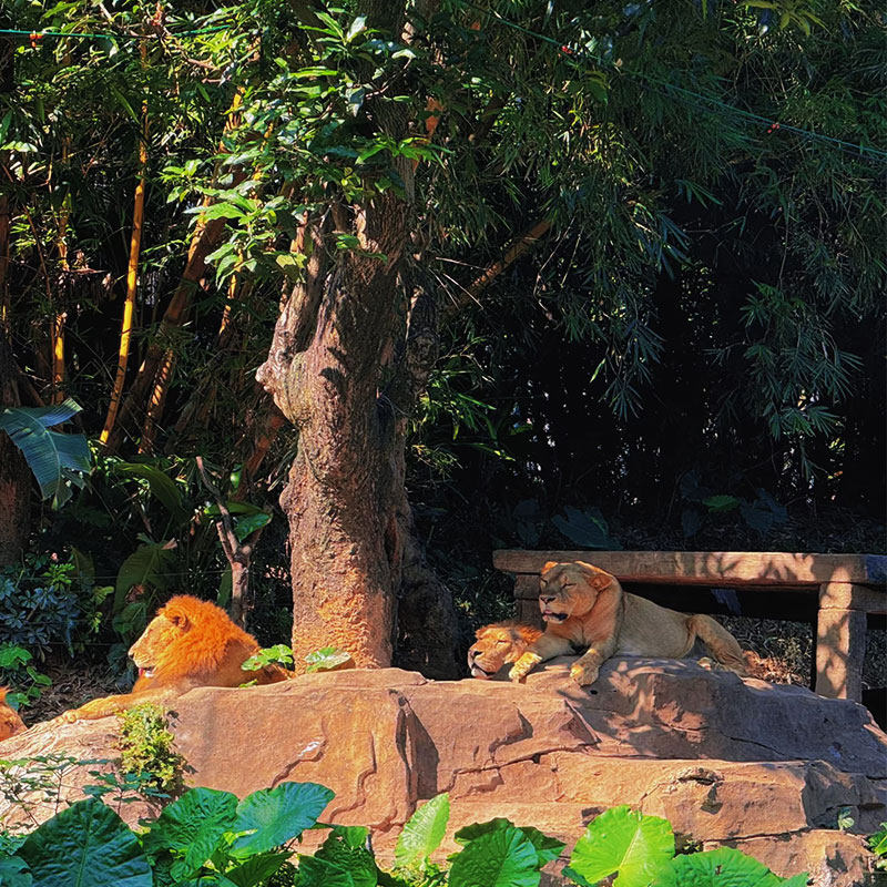上海2日自由行可选择酒店搭配美食泡温泉电影票