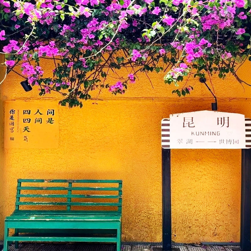 直飞云南昆明玉溪6天5晚抚仙湖滇池自由行