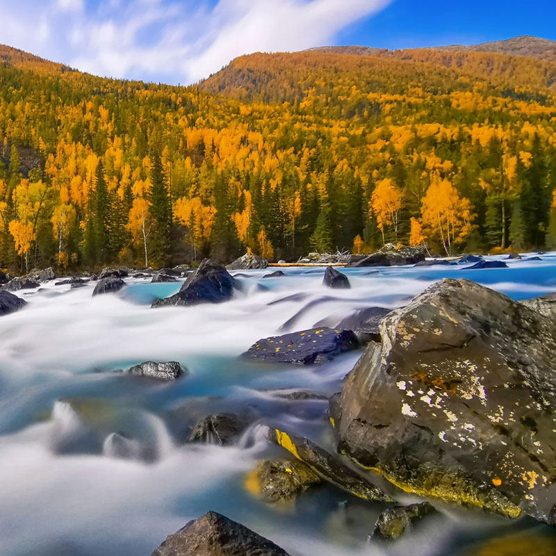 【1+1头等舱车】新疆2-6人小团 北疆喀纳斯禾木赛湖8日游含接送机