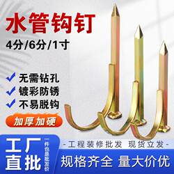 Pipe Hook Nails, Fixing Nails, Ppr Pipe Clamps, Cement Steel Nails, Hook Nails, Clamps, Fixing U-Shaped Nails, Pipe Clamps