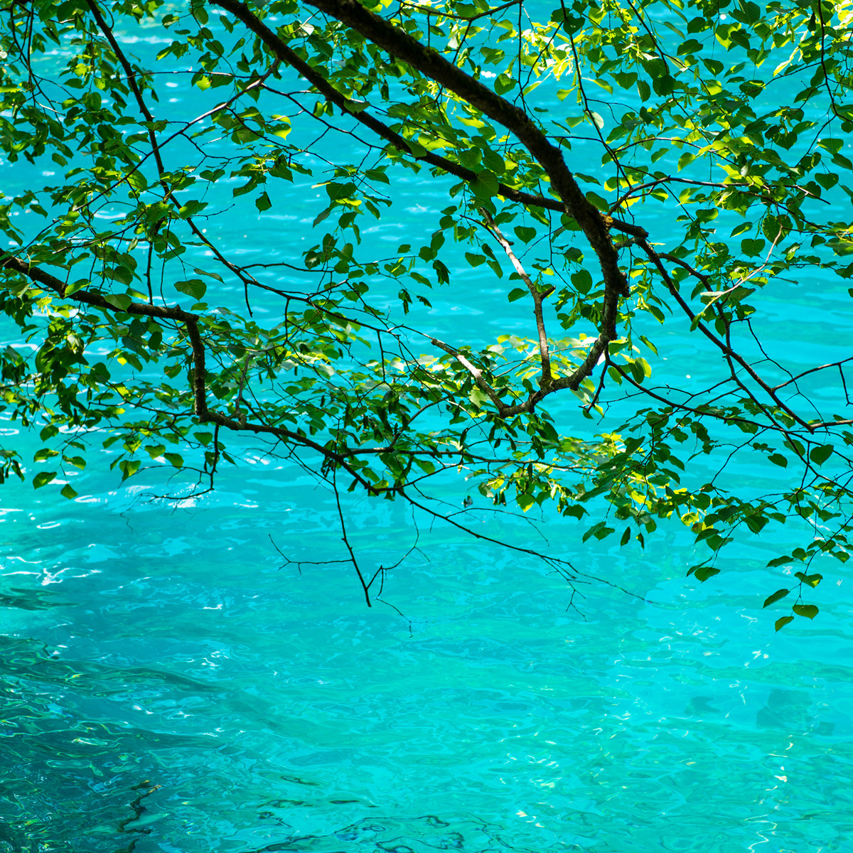 6人空座团|九寨沟四姑娘山达古冰川毕棚沟川西跟团游4天3晚小团