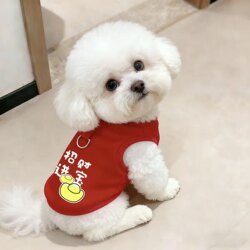 Pet New Year Clothes for Winter 2026, Festive New Year Outfit, Can Be Used with a Leash, for Small Dogs, Fleece-Lined Sleeveless Vest