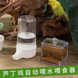 Luludin Chicken Feeder, Waterer, Chick Trough, Food Box, Automatic Waterer, Special Water Bottle for Brooding, Special Supplies