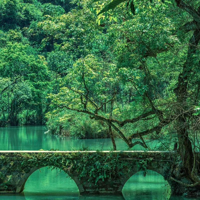 【8人内精品5日游2人起订】贵州黄果树+小七孔+西江苗寨+青岩古镇